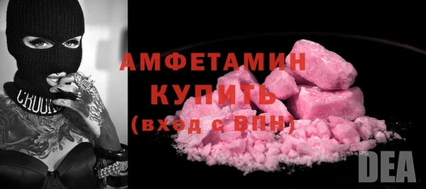 дмт Краснослободск