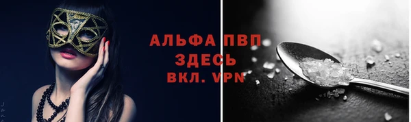 дмт Краснослободск