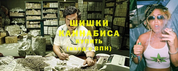 дмт Краснослободск