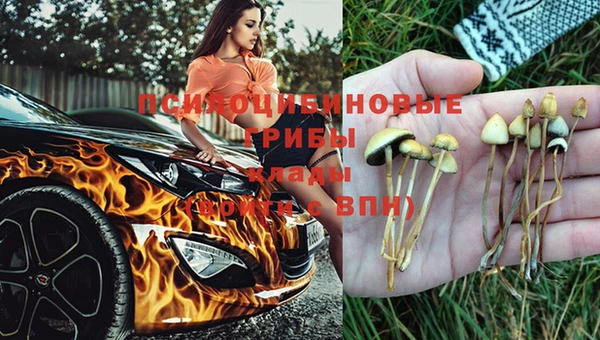 дмт Краснослободск
