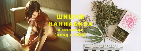 дмт Краснослободск