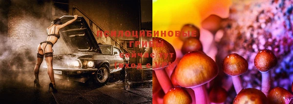 марихуана Краснотурьинск