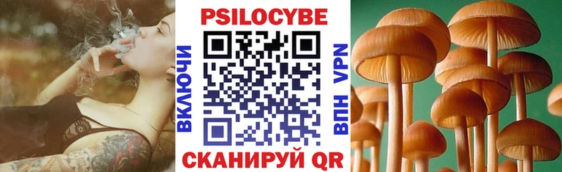 Купить где  Пионерский  Псилоцибиновые грибы прущие грибы 